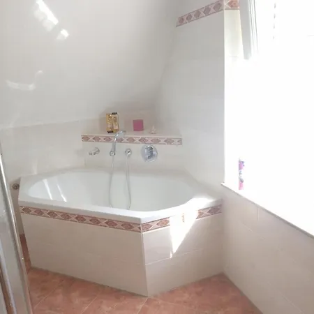 Dresden-entspannung-natur-trifft-2-staedte-am-fluss Dresda