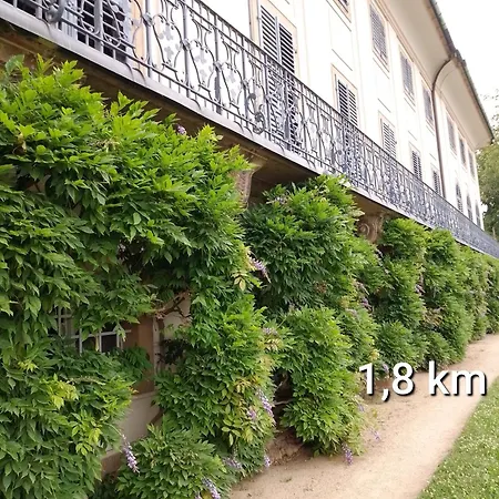 בית אירוח Dresden-entspannung-natur-trifft-2-staedte-am-fluss