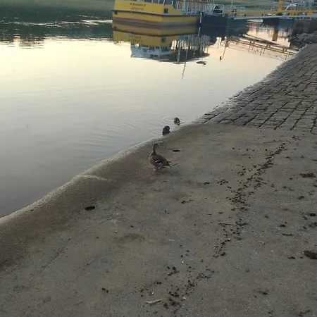 Alloggio in famiglia Dresden-entspannung-natur-trifft-2-staedte-am-fluss Dresda