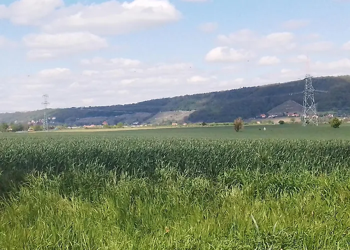 Dresden-entspannung-natur-trifft-2-staedte-am-fluss Dresden