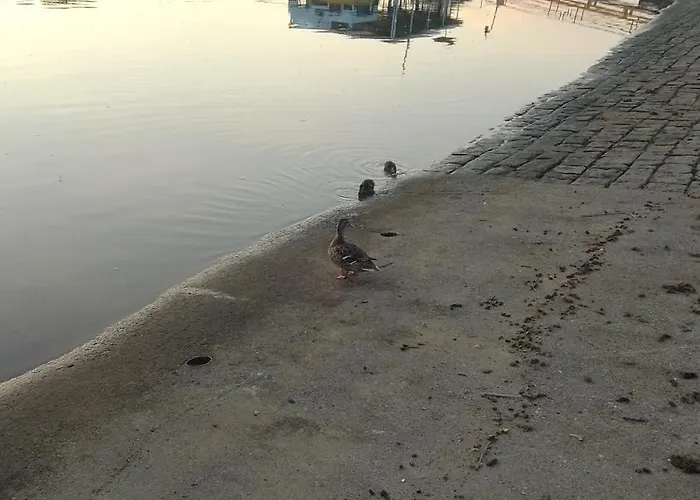 Accommodatie bij particulieren Dresden-entspannung-natur-trifft-2-staedte-am-fluss Dresden