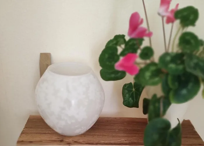 Dresden-entspannung-natur-trifft-2-staedte-am-fluss