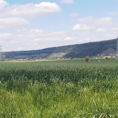 Dresden-entspannung-natur-trifft-2-staedte-am-fluss Drážďany