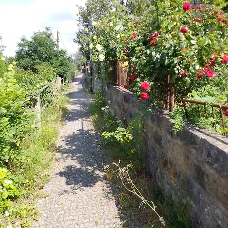 Dresden-entspannung-natur-trifft-2-staedte-am-fluss