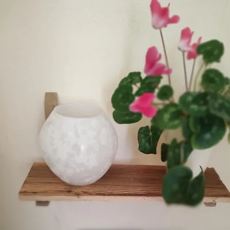 Dresden-entspannung-natur-trifft-2-staedte-am-fluss